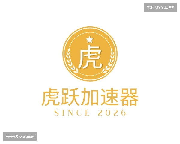 发现虎跃加速器